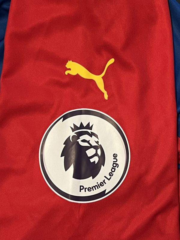 Christian Benteke Signed Crystal Palace Shirt – The Limelight Foundation
